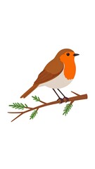 Cute robin on branch