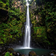 Obraz premium Lush waterfall cascading into a pool
