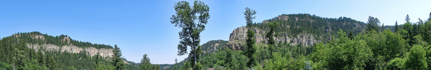 Obraz premium Spearfish Canyon is a scenic gorge in the Black Hills of South Dakota - Panorama of its towering limestone walls