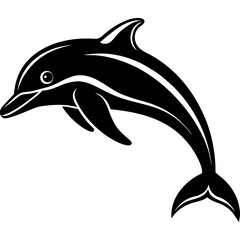 dolphin vector illustration