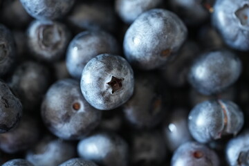 Fresh blueberries close-up. Ripe blue berries with natural texture and soft light. Healthy organic food background for nutrition, cooking, and diet concepts.