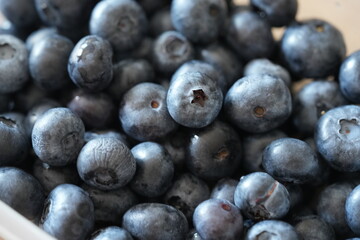 Fresh blueberries close-up. Ripe blue berries with natural texture and soft light. Healthy organic food background for nutrition, cooking, and diet concepts.