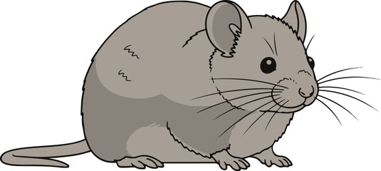 A charming illustration of a small, gray mouse sitting on a white background. Its soft fur, small ears, and delicate whiskers are clearly visible. 
