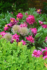 Flowers at Springfields Festival Gardens, Spalding, Lincolnshire, Great Britain