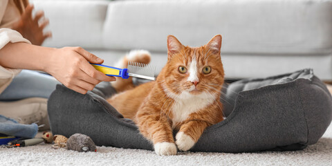 Woman with brush and cute cat lying in pet bed at home, closeup