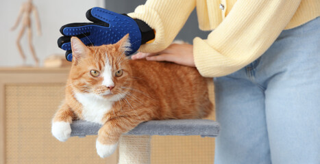 Woman brushing cute cat with glove on scratching post at home, closeup