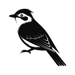 Elegant blue jay silhouette perched on white background
