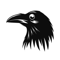Sharp beak and eye crow head silhouette graphic