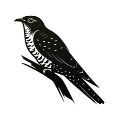 Simple silhouette of a cuckoo bird perched quietly
