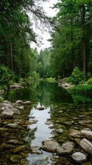 Naklejka premium Serene river flowing through lush forest, reflecting trees and sky