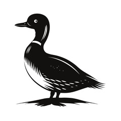 A solitary duck stands on the shore at sunset