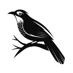 A striking silhouette of a jay bird perched on a branch