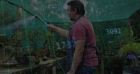 Spraying senior gardener apron-clad watering bonsai with hose in nursery, grid overlay, copy space