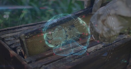 Holding gloved hands scanning honeycomb frame in apiary, projecting holographic brain overlay