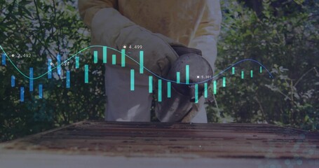 Beekeeper wearing yellow suit using bee smoker on wooden hive frame in apiary, with data overlay