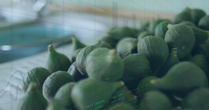 Showing cluster of green figs resting on cloth beside tray on countertop, with faint digital graphs - Powered by Adobe