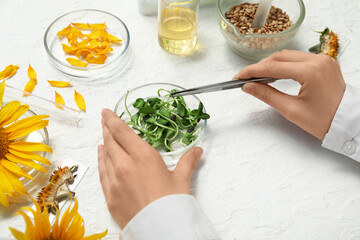 Scientist with professional laboratory tools studying sunflowers, sprouts and seeds on white...