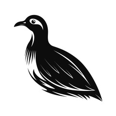 Medium sized flightless bird in side profile illustration