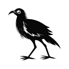Medium sized flightless bird walking calmly illustration