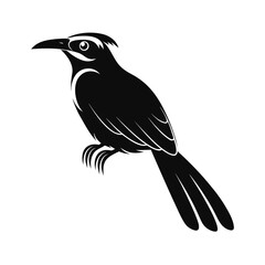 Elegant motmot bird silhouette in striking pose