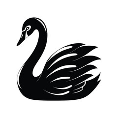 Elegant mute swan silhouette gliding on white background