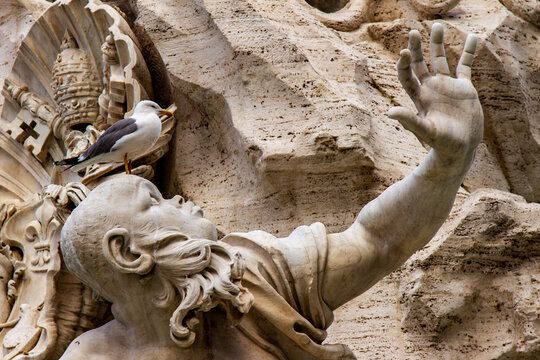 A seagull on the head of the River Plate Statue of the Fountain of the Four Rivers in Rome.