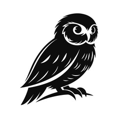 Bold silhouette of a nocturnal owl perched calmly