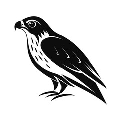 Silhouette of a hunting raptor bird in a perched pose
