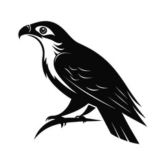 Silhouette of a hunting raptor bird perched and ready