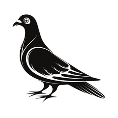 Elegant pigeon silhouette standing on white background