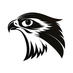 Elegant raptor bird soaring silhouette
