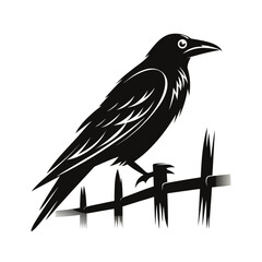 Silhouette of a rook bird on a fence