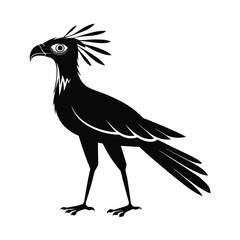 Secretary bird standing tall striking silhouette