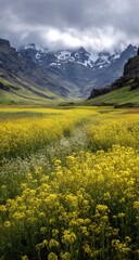 Obraz premium Icelandic valley wildflowers, mountains, cloudy sky, nature travel poster