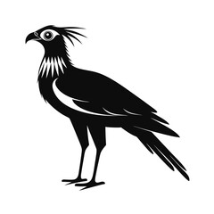 Secretary bird standing tall striking silhouette
