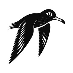 Elegant silhouette of a shearwater in flight
