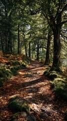 Fototapeta premium Forest path bathed in sunlight, leading through trees, foliage and autumn leaves