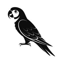 A small parrot silhouette perched calmly