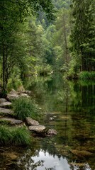 Tranquil forest scene with a calm, reflective lake, lush greenery and trees
