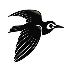 Elegant silhouette of a small seabird in mid flight