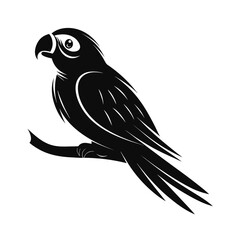 Bold silhouette of a small parrot perched quietly