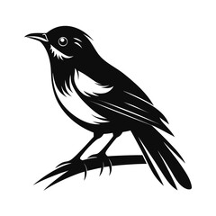 Elegant silhouette of a small songbird perched