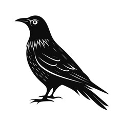 Striking silhouette of a flightless bird perched