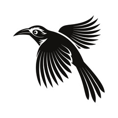 Tropical bird in flight silhouette striking pose