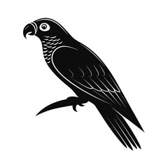 Elegant tropical parrot silhouette design