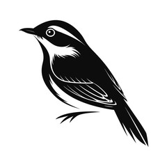 Elegant warbler silhouette perched quietly
