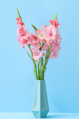 Vase with bouquet of beautiful gladiolus flowers on blue background