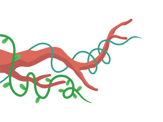 Cartoon Jungle Vine Plant or Liana Branch Vines
