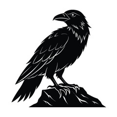 Crow perched on jagged rock with head tilted down