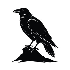 Crow perched on jagged rock with head tilted forward